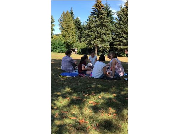 Familien beim Picknick